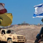  - برفيلكس - brieflex