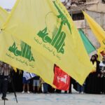  - برفيلكس - brieflex