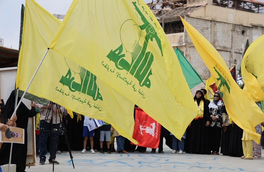  - برفيلكس - brieflex