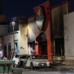  - برفيلكس - brieflex