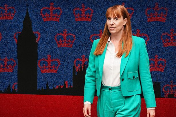  - برفيلكس - brieflex