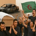  - برفيلكس - brieflex