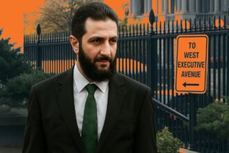  - برفيلكس - brieflex