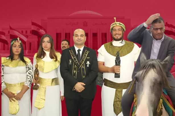  - برفيلكس - brieflex