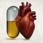  - برفيلكس - brieflex