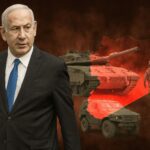  - برفيلكس - brieflex