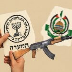  - برفيلكس - brieflex