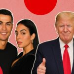  - برفيلكس - brieflex