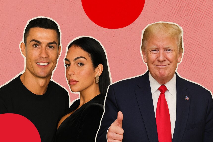  - برفيلكس - brieflex