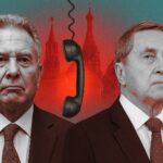  - برفيلكس - brieflex