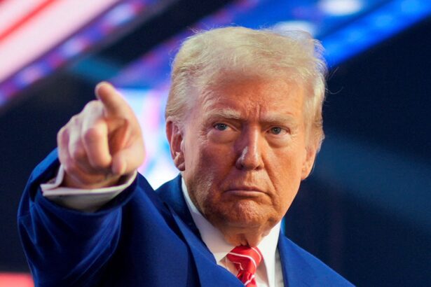  - برفيلكس - brieflex