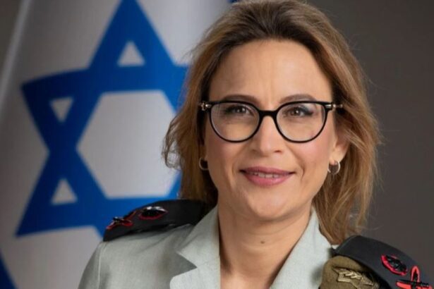  - برفيلكس - brieflex