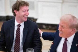  - برفيلكس - brieflex