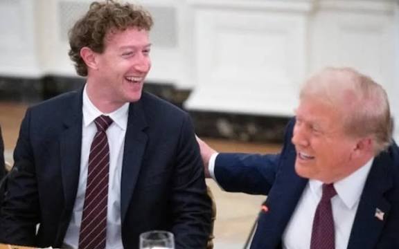  - برفيلكس - brieflex