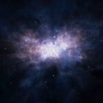  - برفيلكس - brieflex