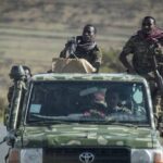  - برفيلكس - brieflex