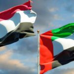  - برفيلكس - brieflex