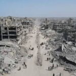  - برفيلكس - brieflex