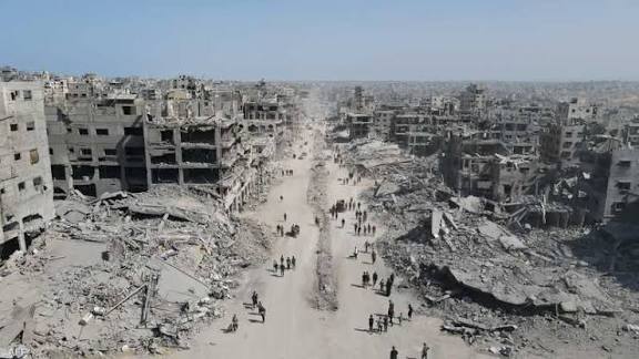  - برفيلكس - brieflex