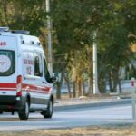  - برفيلكس - brieflex