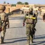  - برفيلكس - brieflex