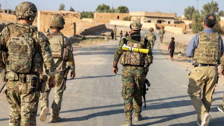  - برفيلكس - brieflex