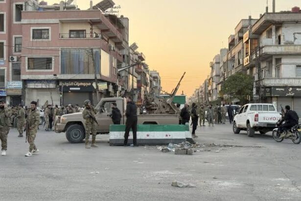  - برفيلكس - brieflex