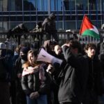  - برفيلكس - brieflex