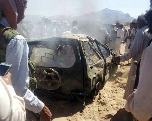  - برفيلكس - brieflex