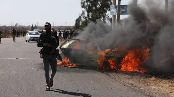  - برفيلكس - brieflex