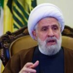  - برفيلكس - brieflex