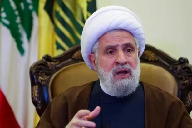  - برفيلكس - brieflex