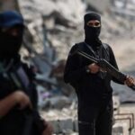  - برفيلكس - brieflex