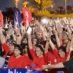  - برفيلكس - brieflex