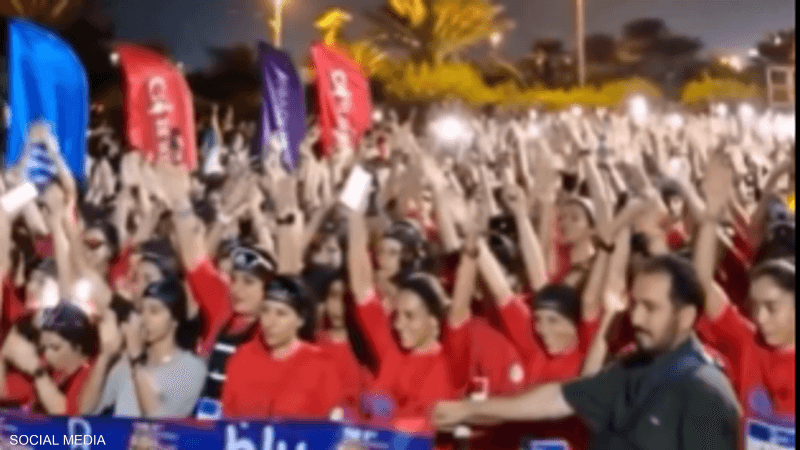  - برفيلكس - brieflex