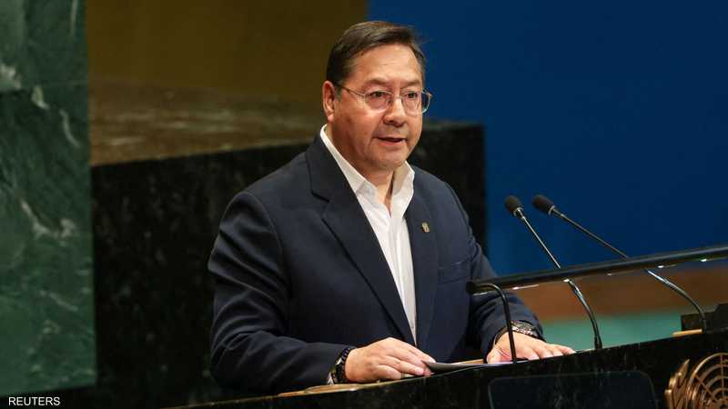  - برفيلكس - brieflex