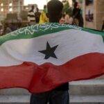  - برفيلكس - brieflex