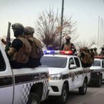  - برفيلكس - brieflex