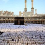  - برفيلكس - brieflex