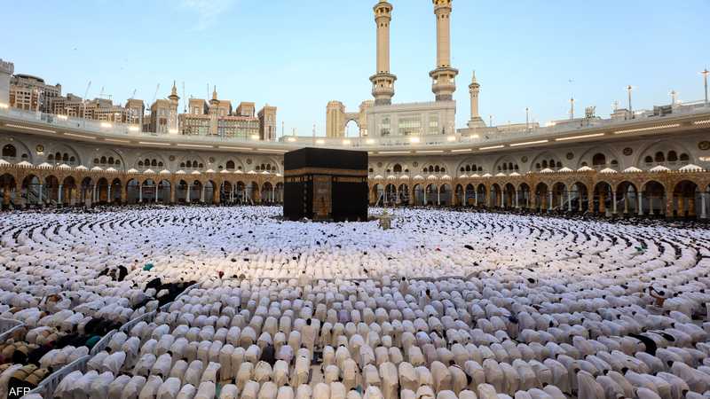  - برفيلكس - brieflex