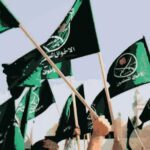  - برفيلكس - brieflex