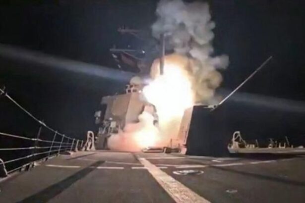  - برفيلكس - brieflex