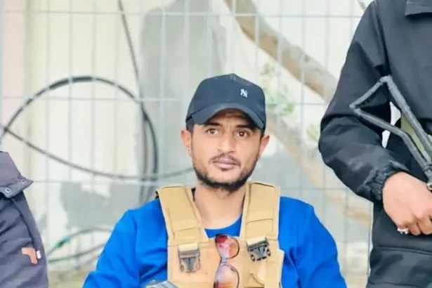  - برفيلكس - brieflex