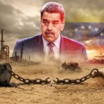  - برفيلكس - brieflex