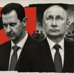  - برفيلكس - brieflex