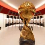  - برفيلكس - brieflex