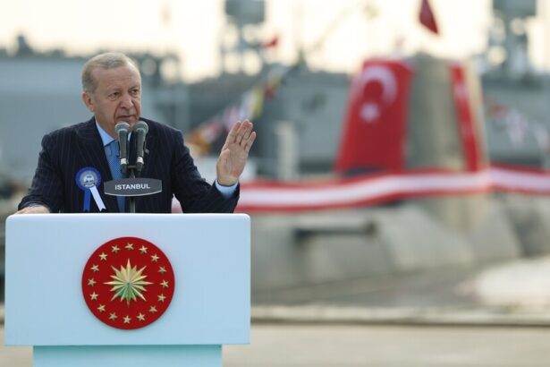  - برفيلكس - brieflex