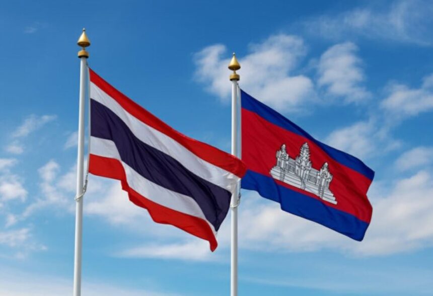  - برفيلكس - brieflex