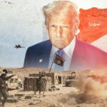  - برفيلكس - brieflex