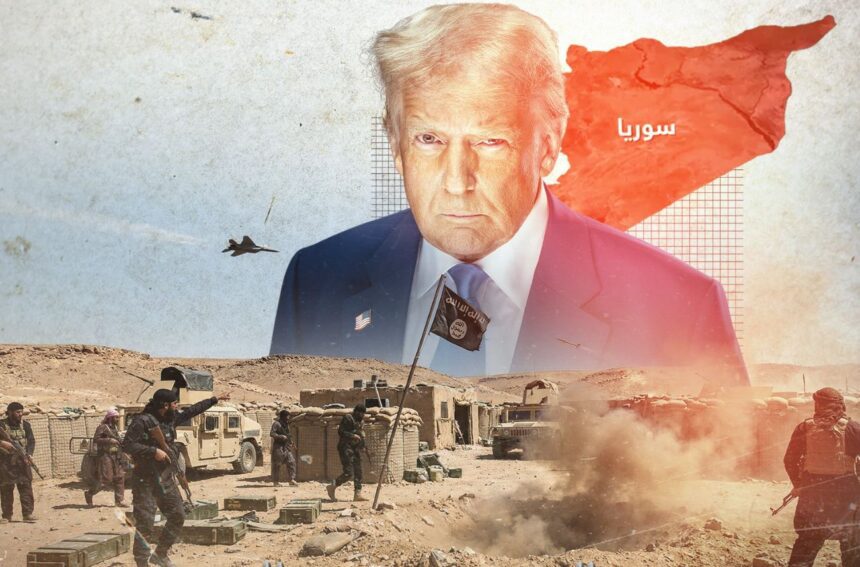  - برفيلكس - brieflex